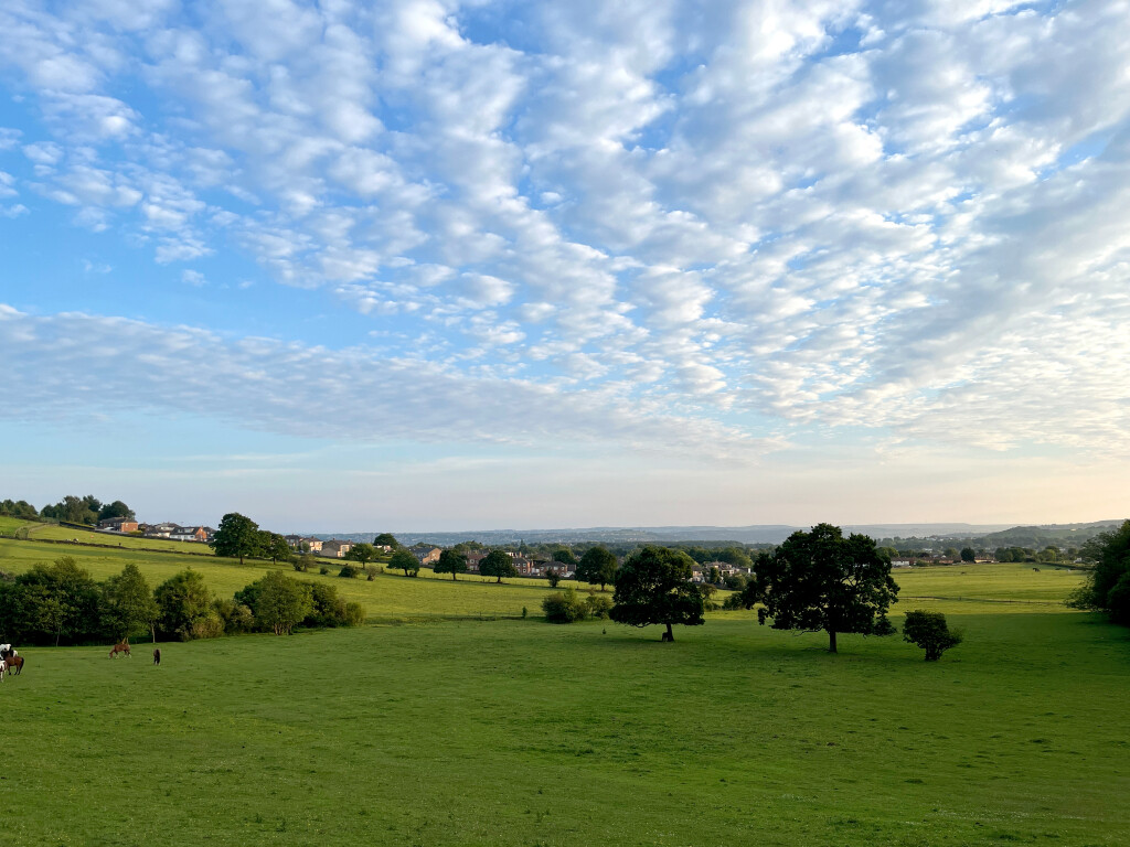 The Best Horse Field Around, West Carlton, West Yorkshire